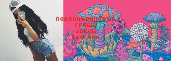 метадон Козловка