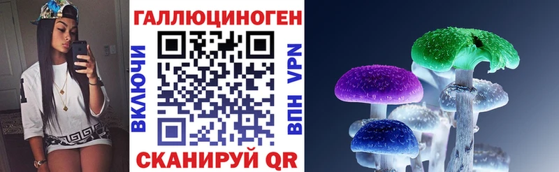 Галлюциногенные грибы Psilocybine cubensis  Чкаловск 