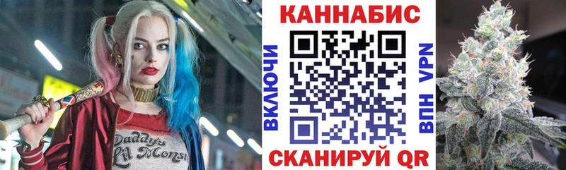 Шишки марихуана марихуана  Чкаловск 